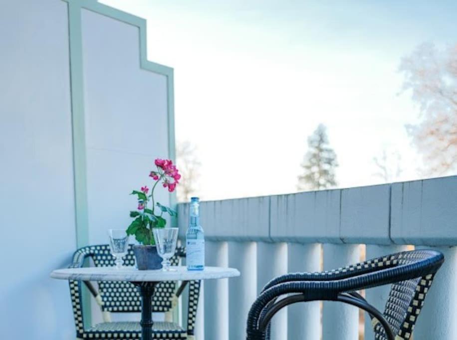 Le Joyau Des Parcs Classe 4 Etoiles Appartement Central Au Calme Avec Terrasse Виши Экстерьер фото