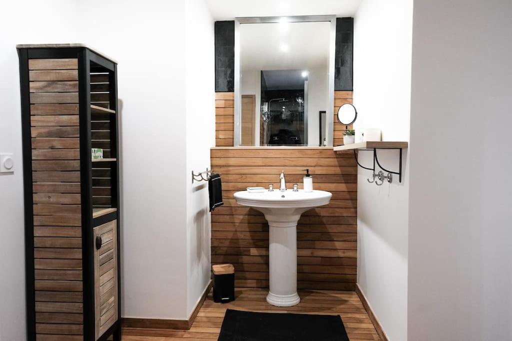 Le Joyau Des Parcs Classe 4 Etoiles Appartement Central Au Calme Avec Terrasse Виши Экстерьер фото